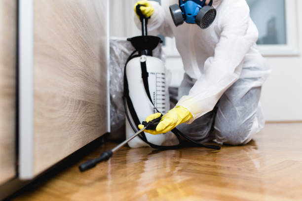 Pest Control for Restaurants in South Lebanon, OH