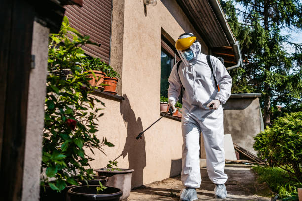 Best Best Pest Control Companies  in South Lebanon, OH