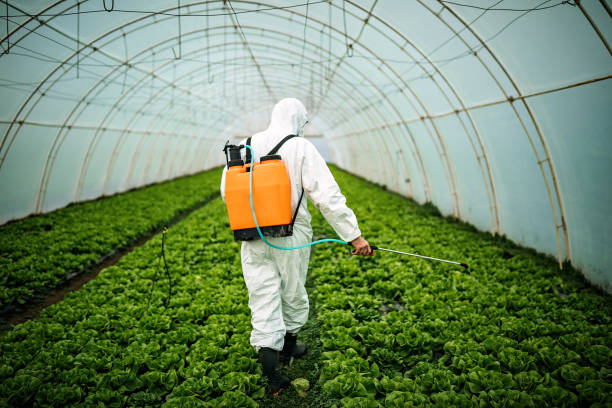 Best Pest Control for Restaurants  in South Lebanon, OH