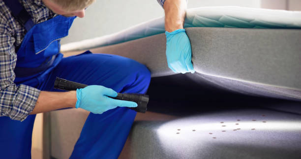 Best Affordable Pest Control Services  in South Lebanon, OH
