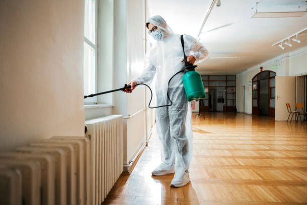 Best Flea Control Services  in South Lebanon, OH